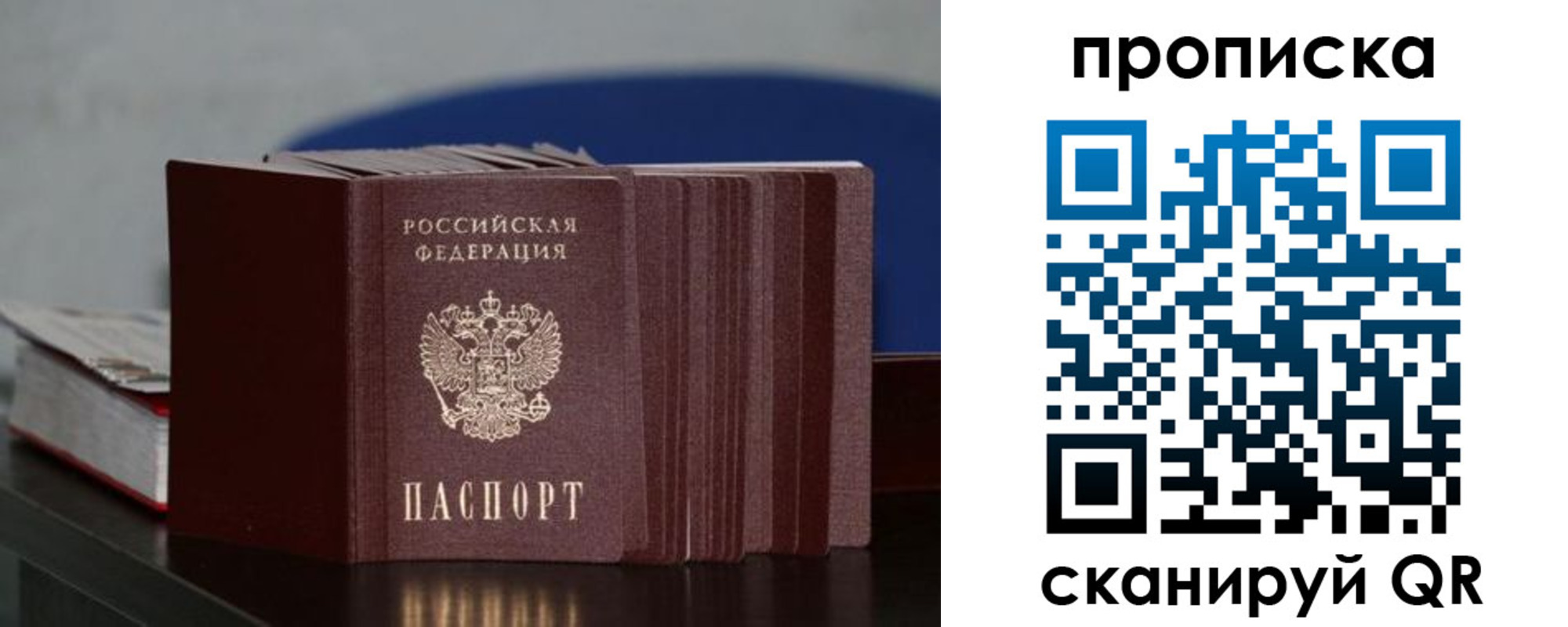 прописка гарантия в Тольятти